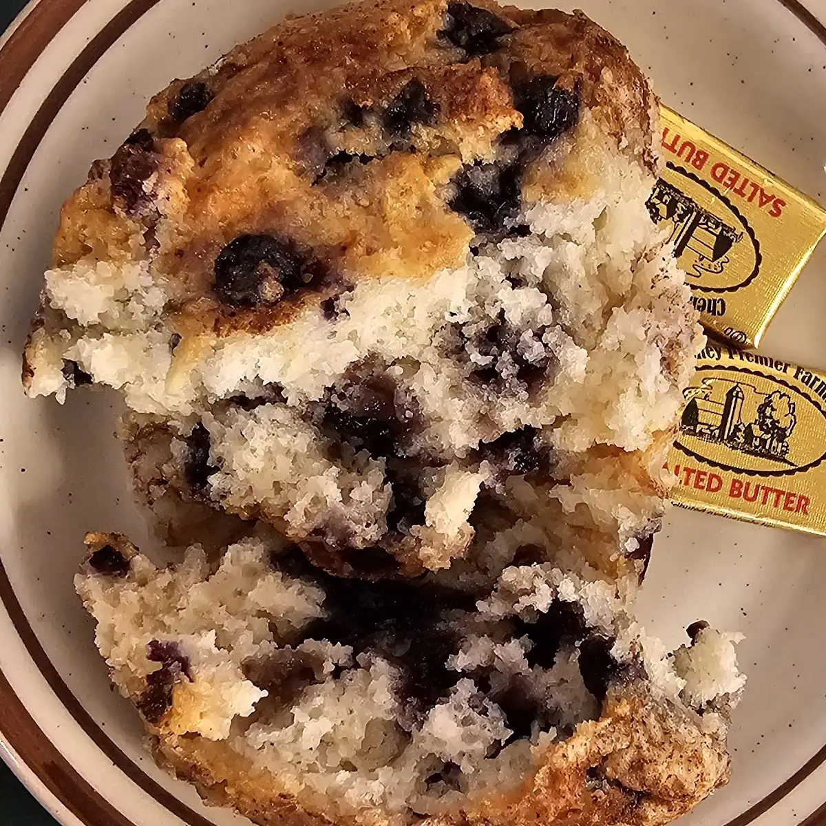 Blueberry Muffin