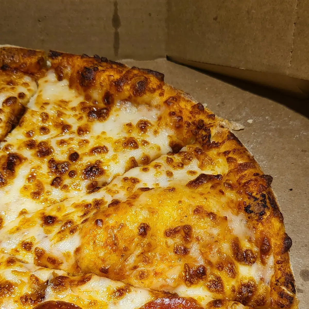 Wisconsin 6 Cheese Pizza