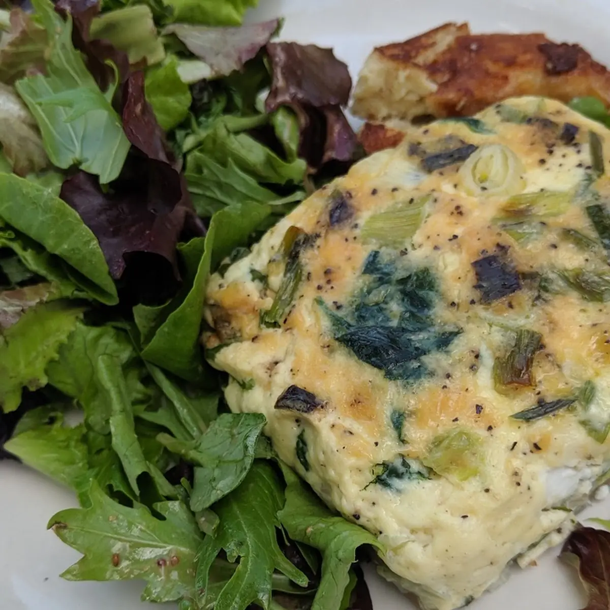 Quiche of the Day