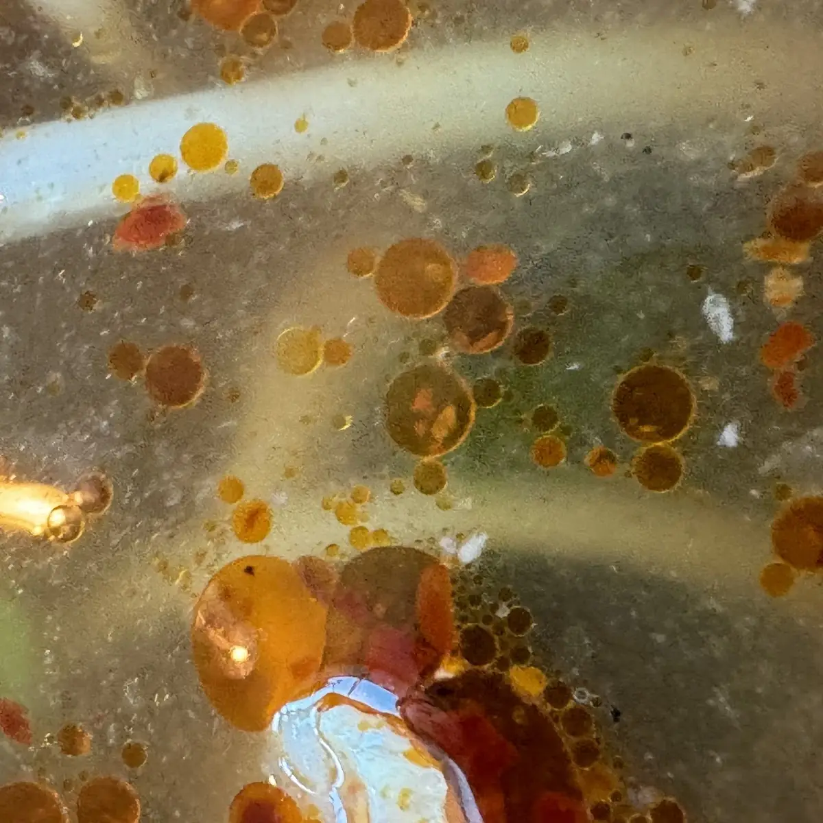 Pho Broth