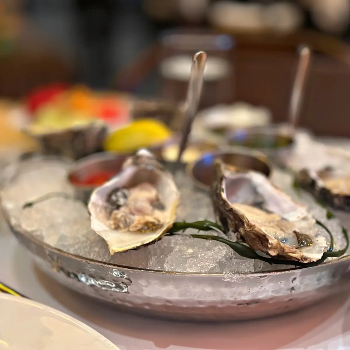 Dozen Oysters on the Half Shell
