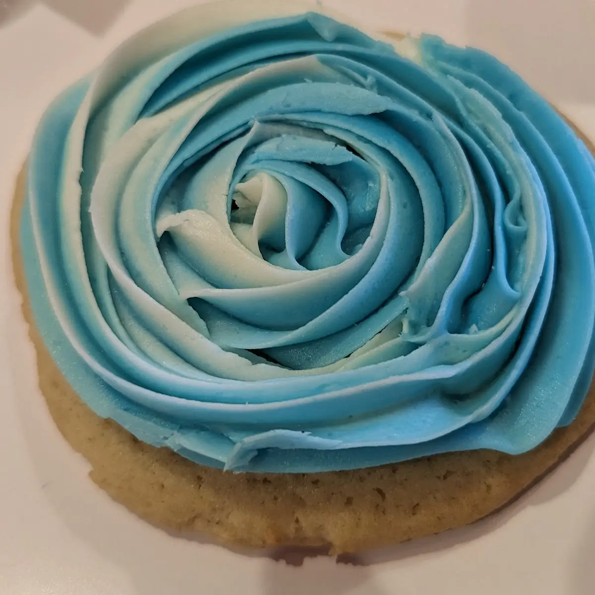 Frosted Sugar Cookie