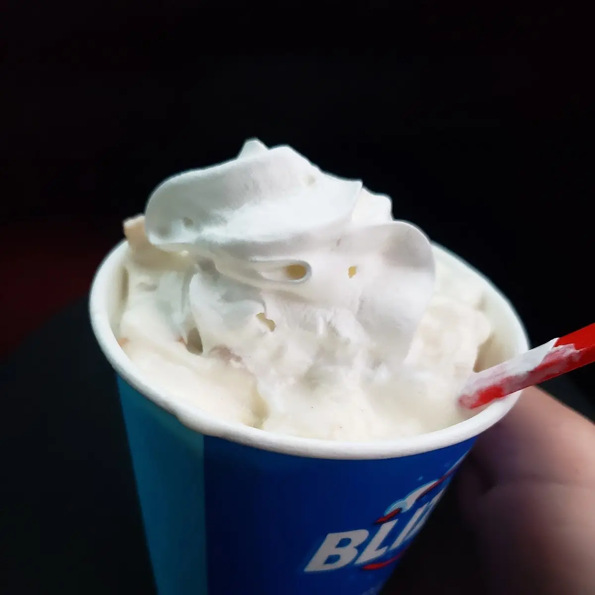 Apple Pie Blizzard