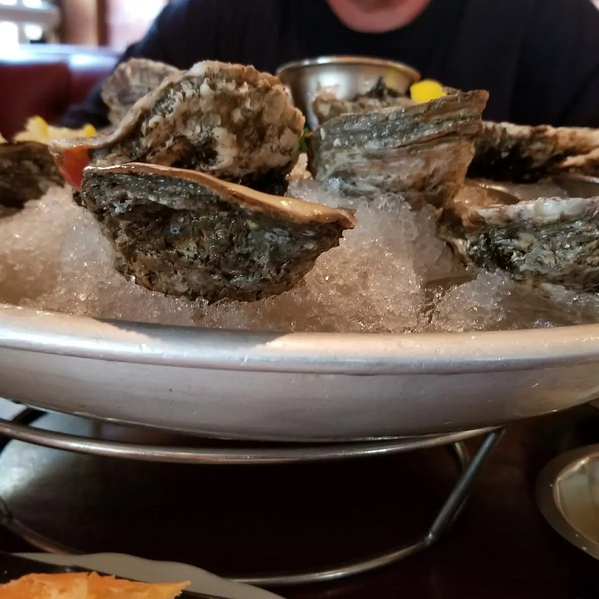 Oysters on the Half Shell