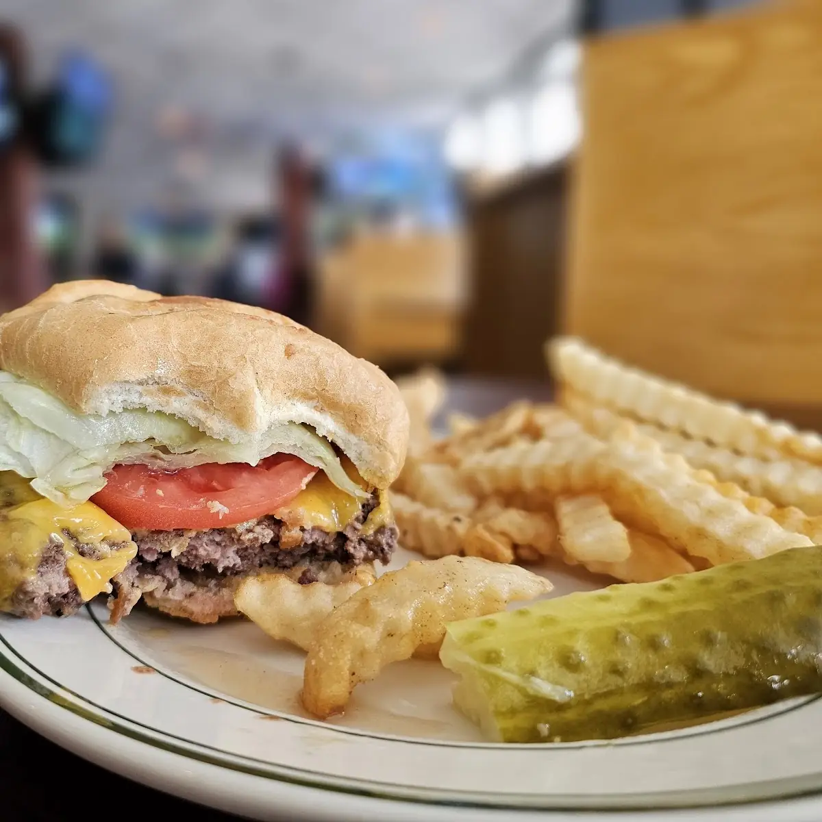 Cheese Burger and Fries