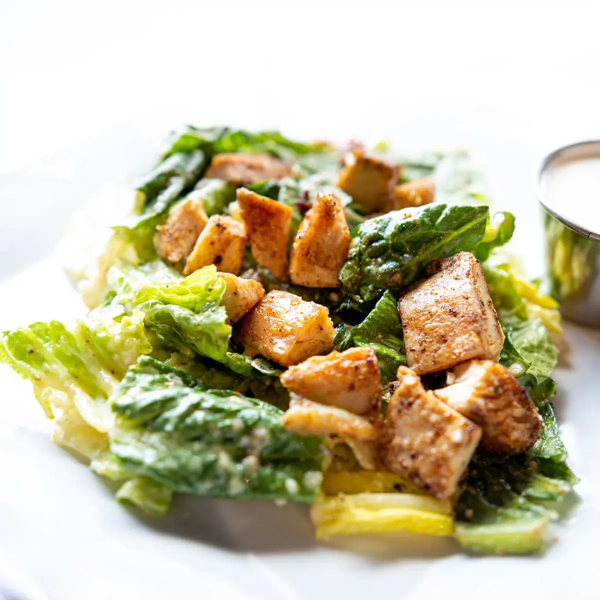 Grill Chicken Ceasar Salad