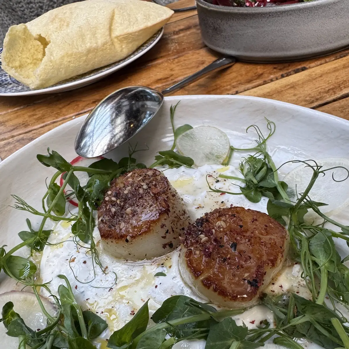 Sea Scallops