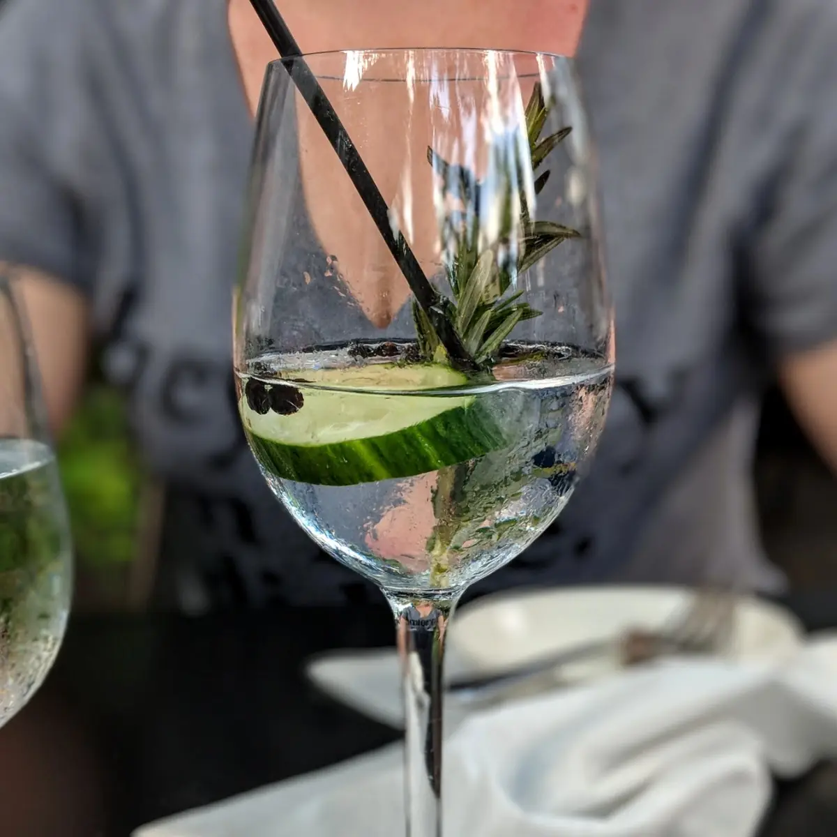 Spanish Gin & Tonic