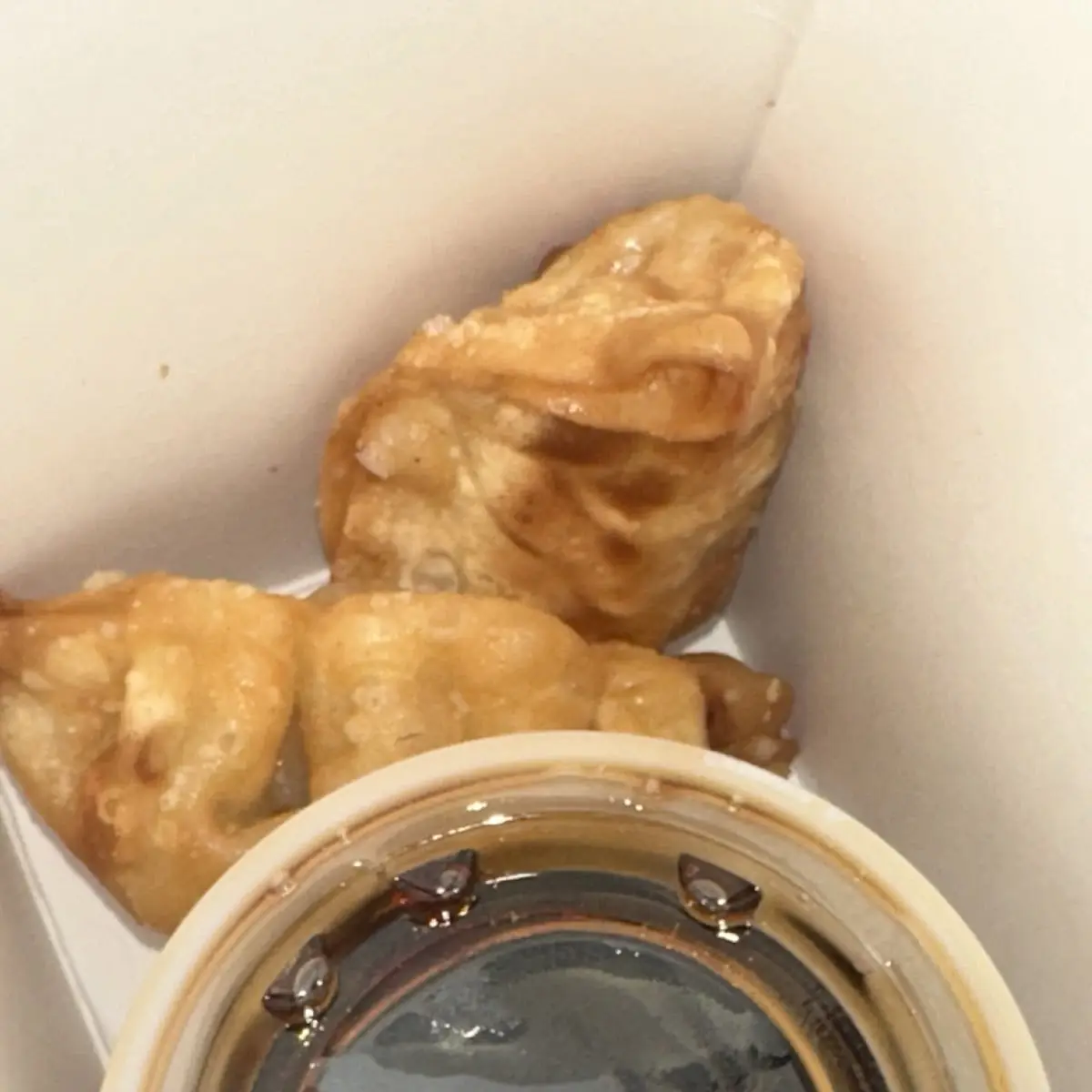 Gyoza Dumplings