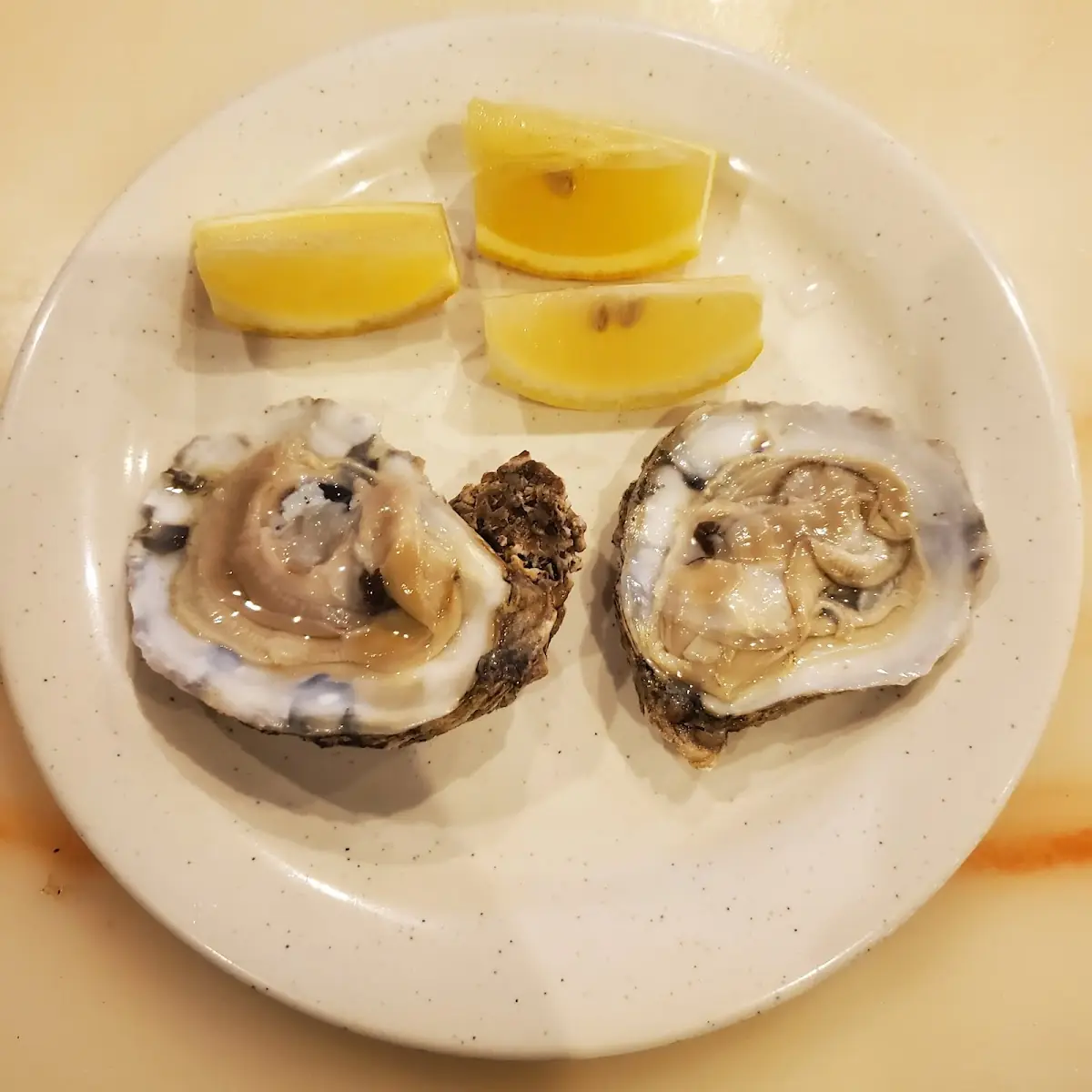Oysters on the Half Shell