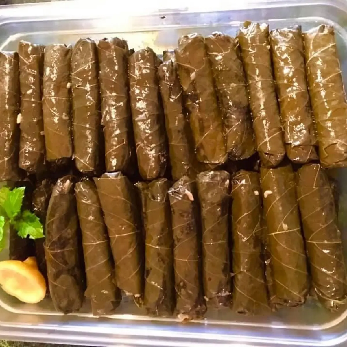Grape Leaves