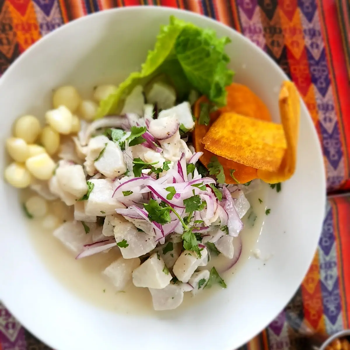 Ceviche Dinner Size
