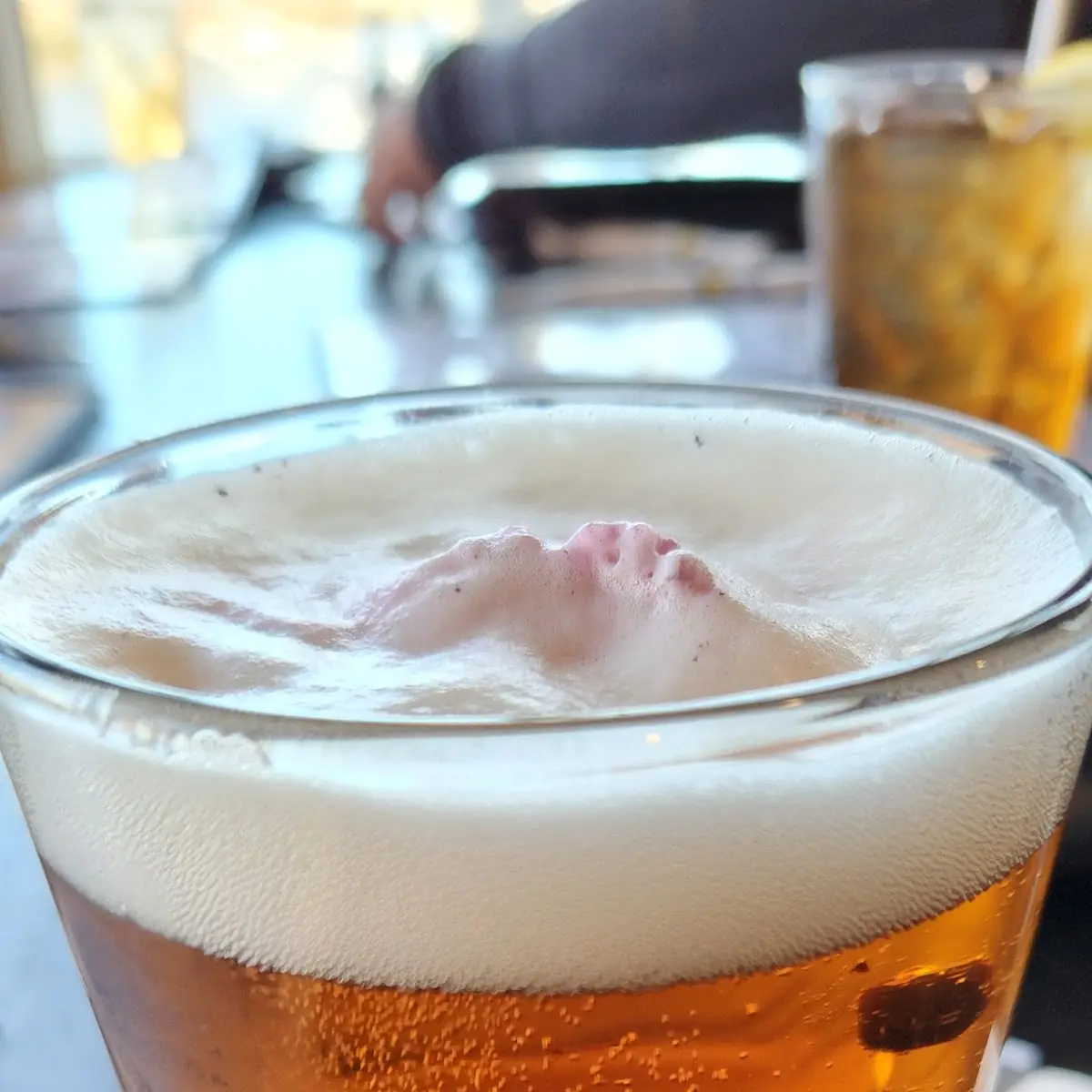 Bluepaw Wild Blueberry Ale