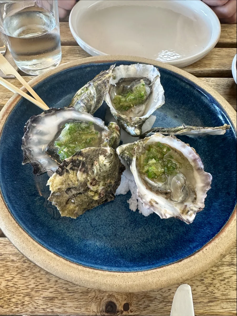 Smoky Bay Oyster, Pearl