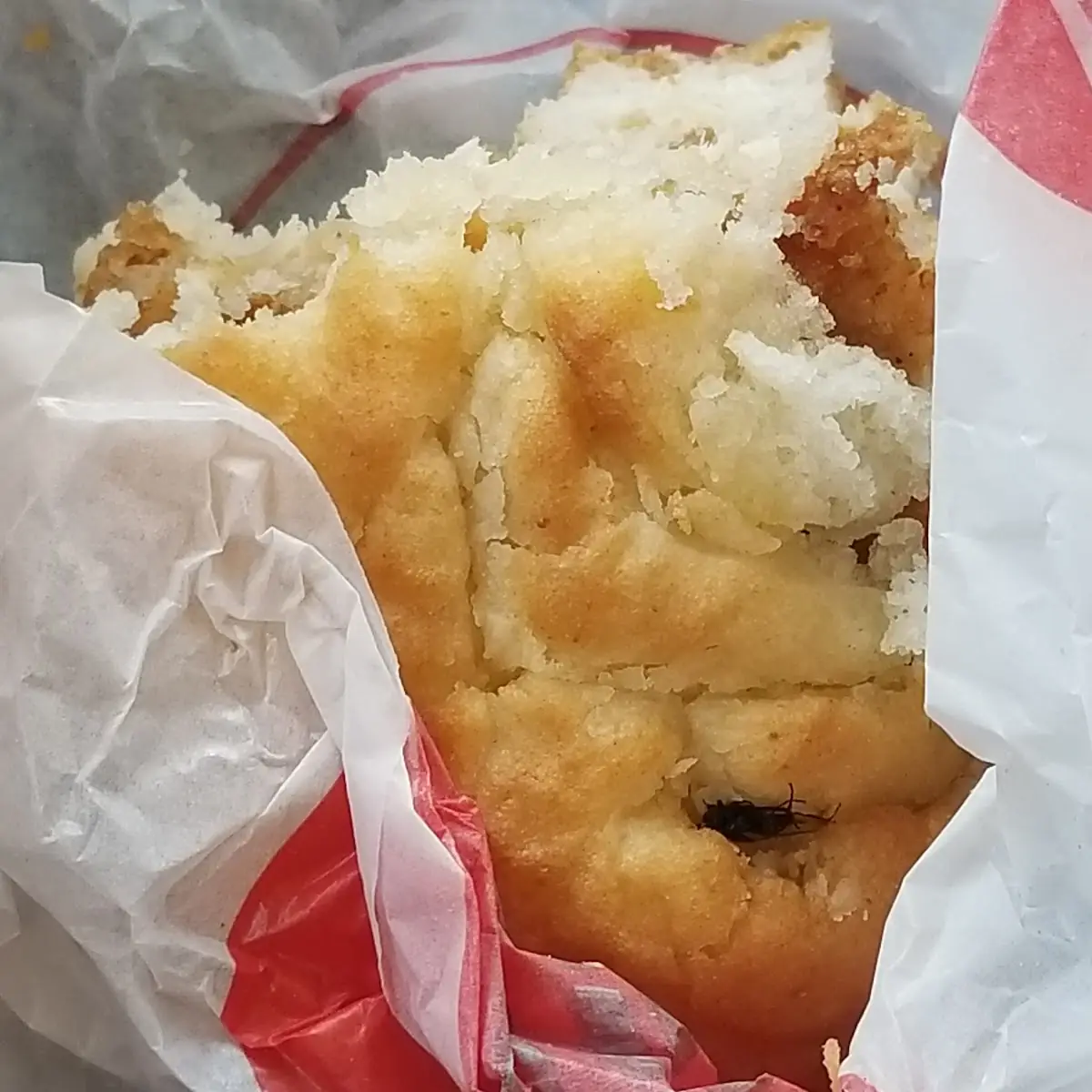 Breakfast Chicken Biscuit with a Fly Embedded in the Biscuit and Served to Me That Way Gross