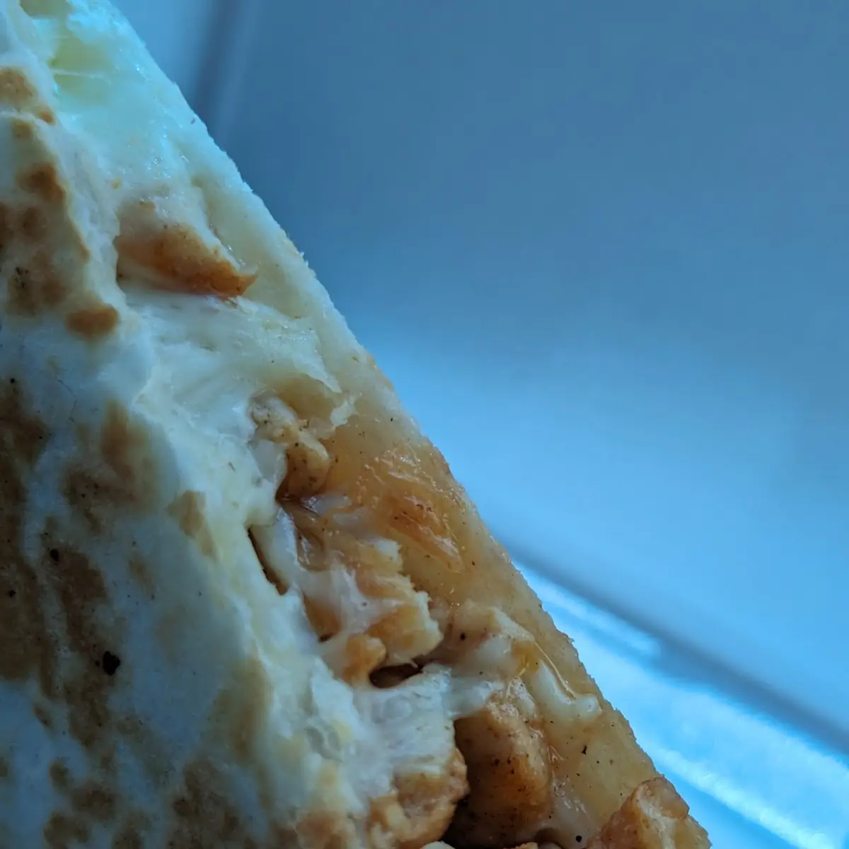 Chicken Quesadilla