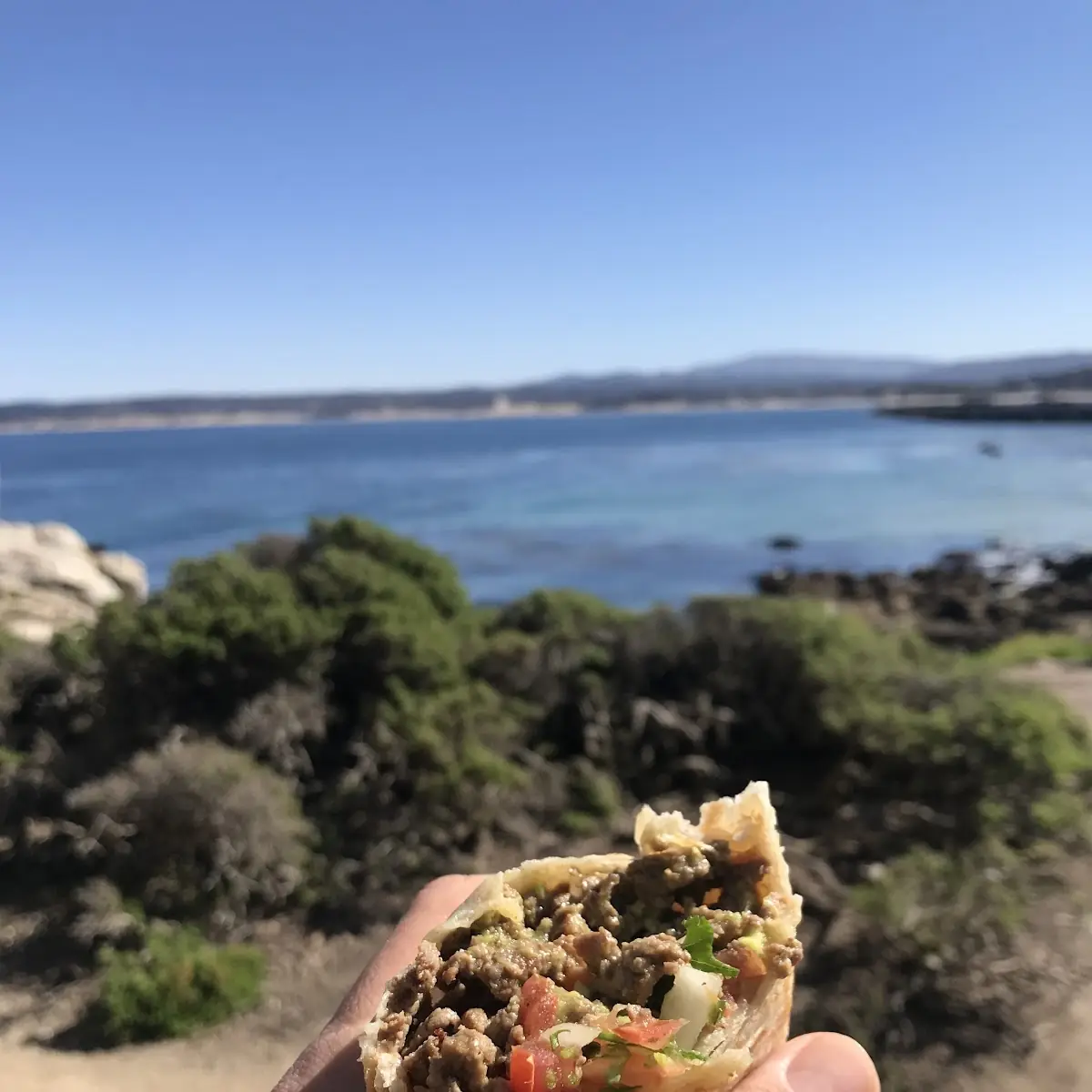 Carne Asada Burrito