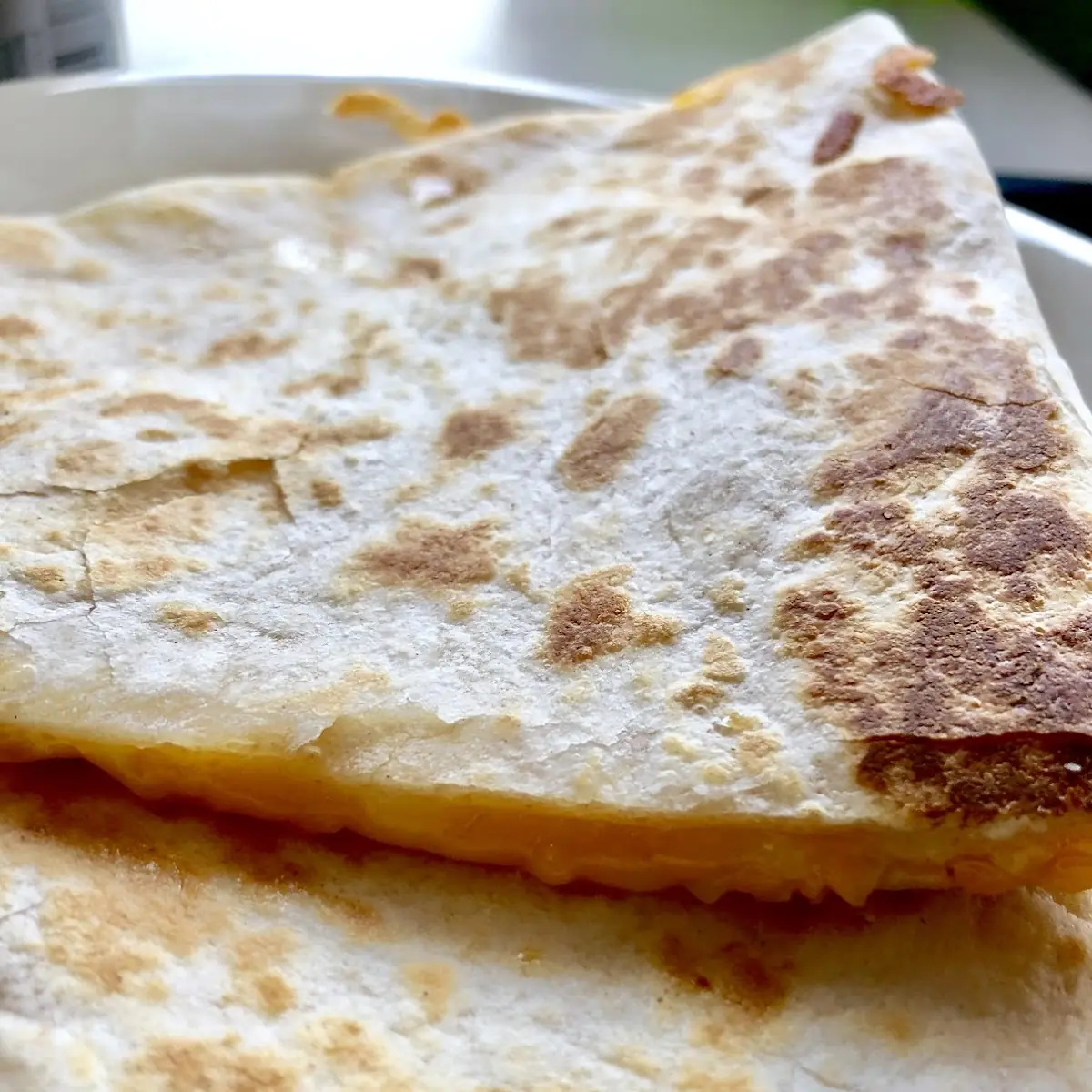 Cheese Quesadilla