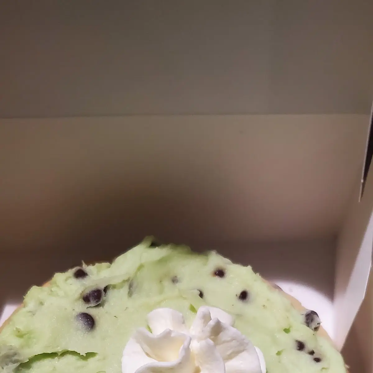 Mint Chocolate Chip Cookie