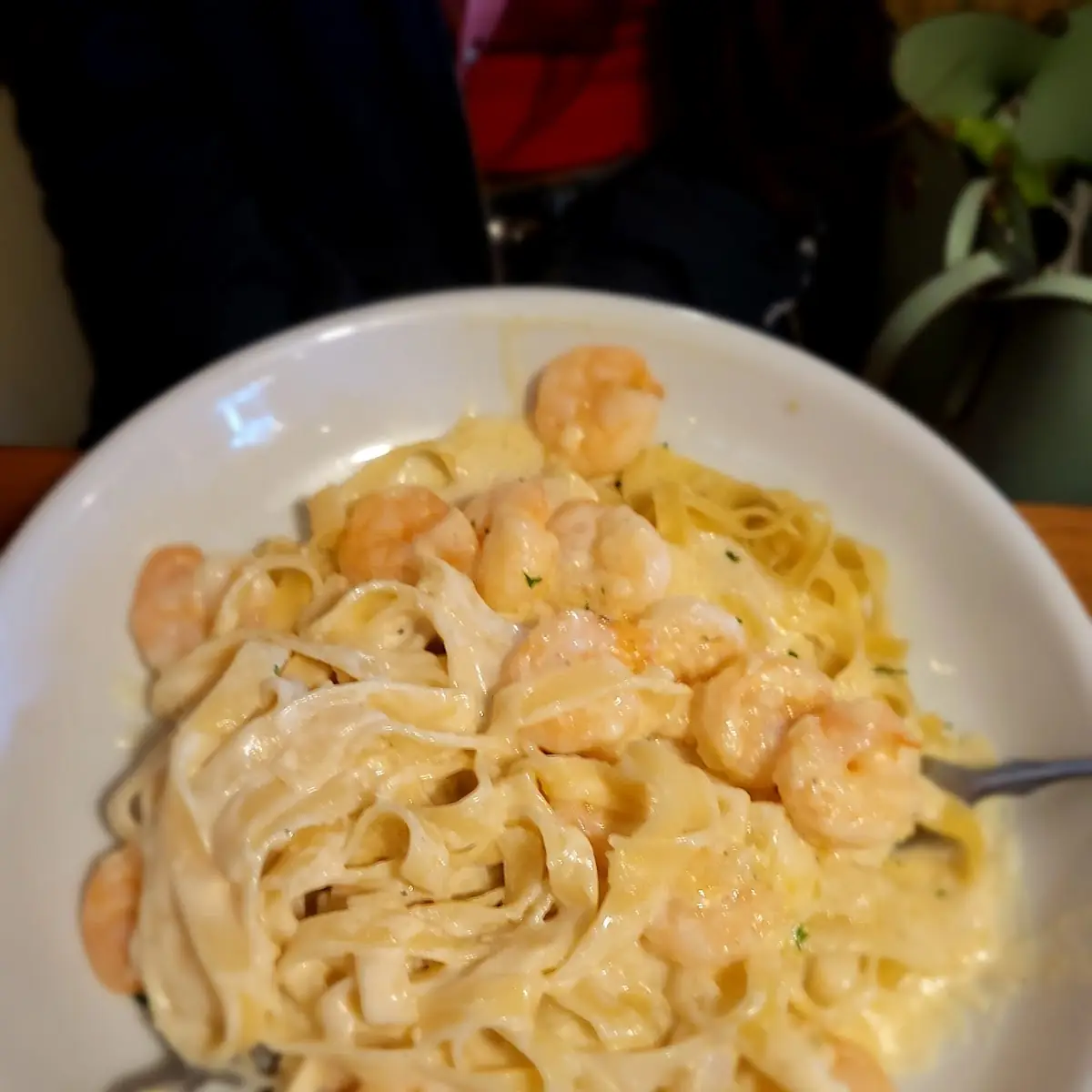 Shrimp Alfredo