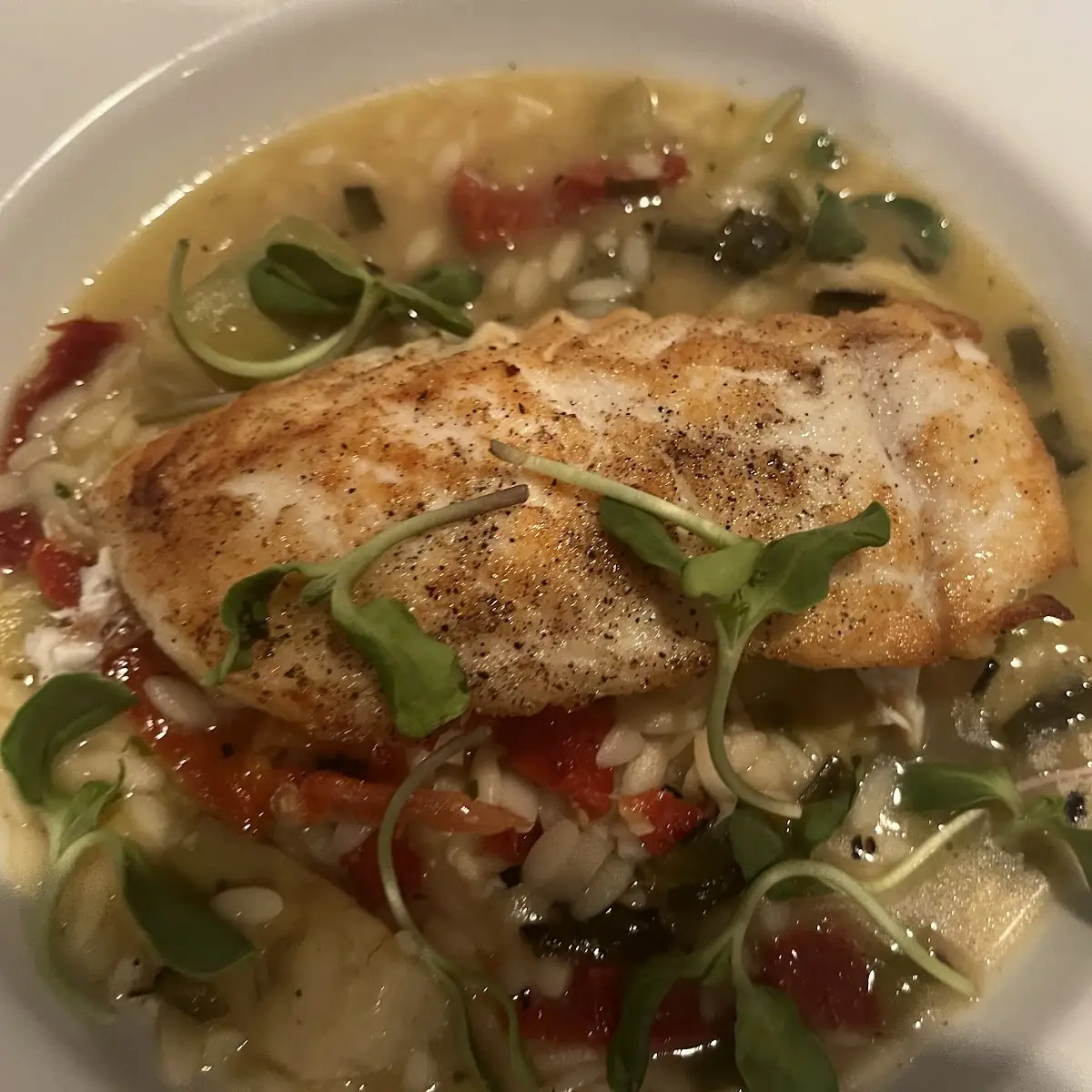 Sea Bass