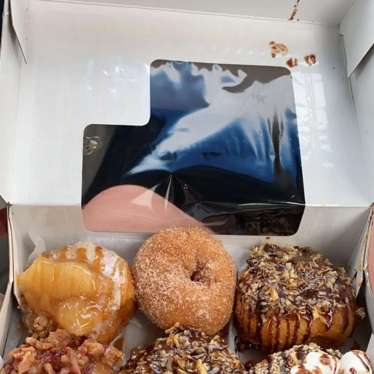 Doughnut