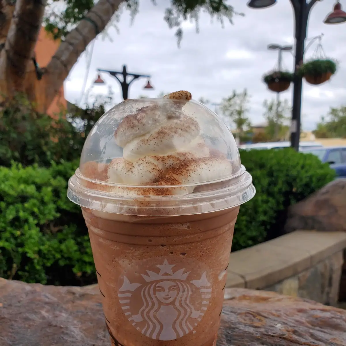 Grande Snickerdoodle Mocha Frappe