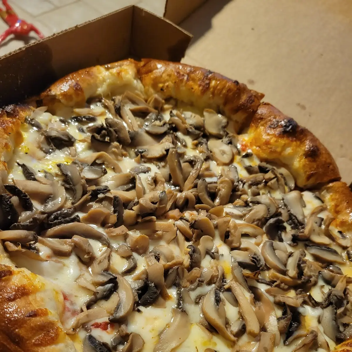 Mushroom Pizza