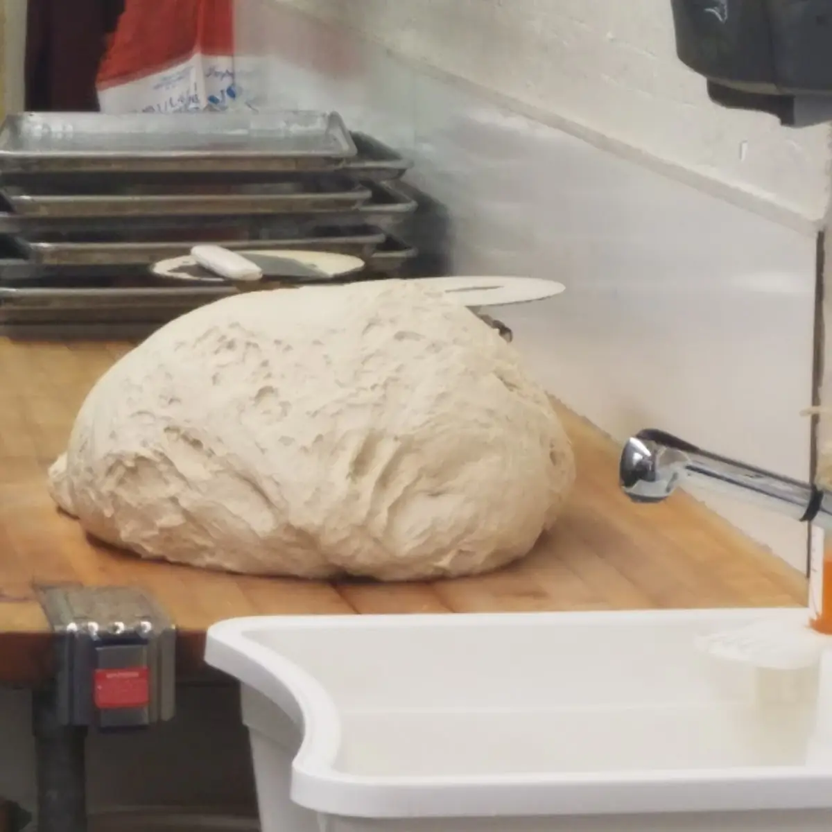Pizza Dough