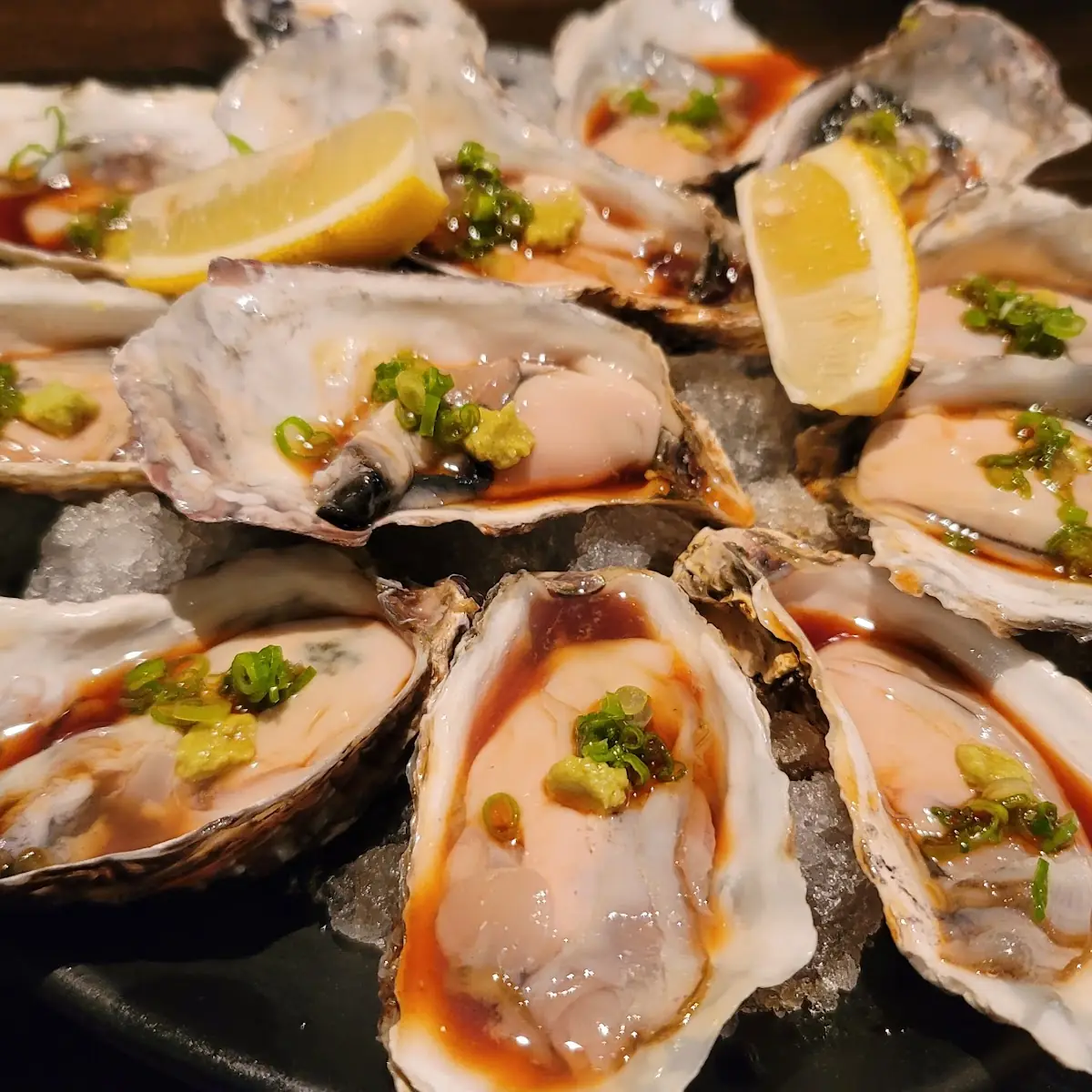 Fresh Oysters