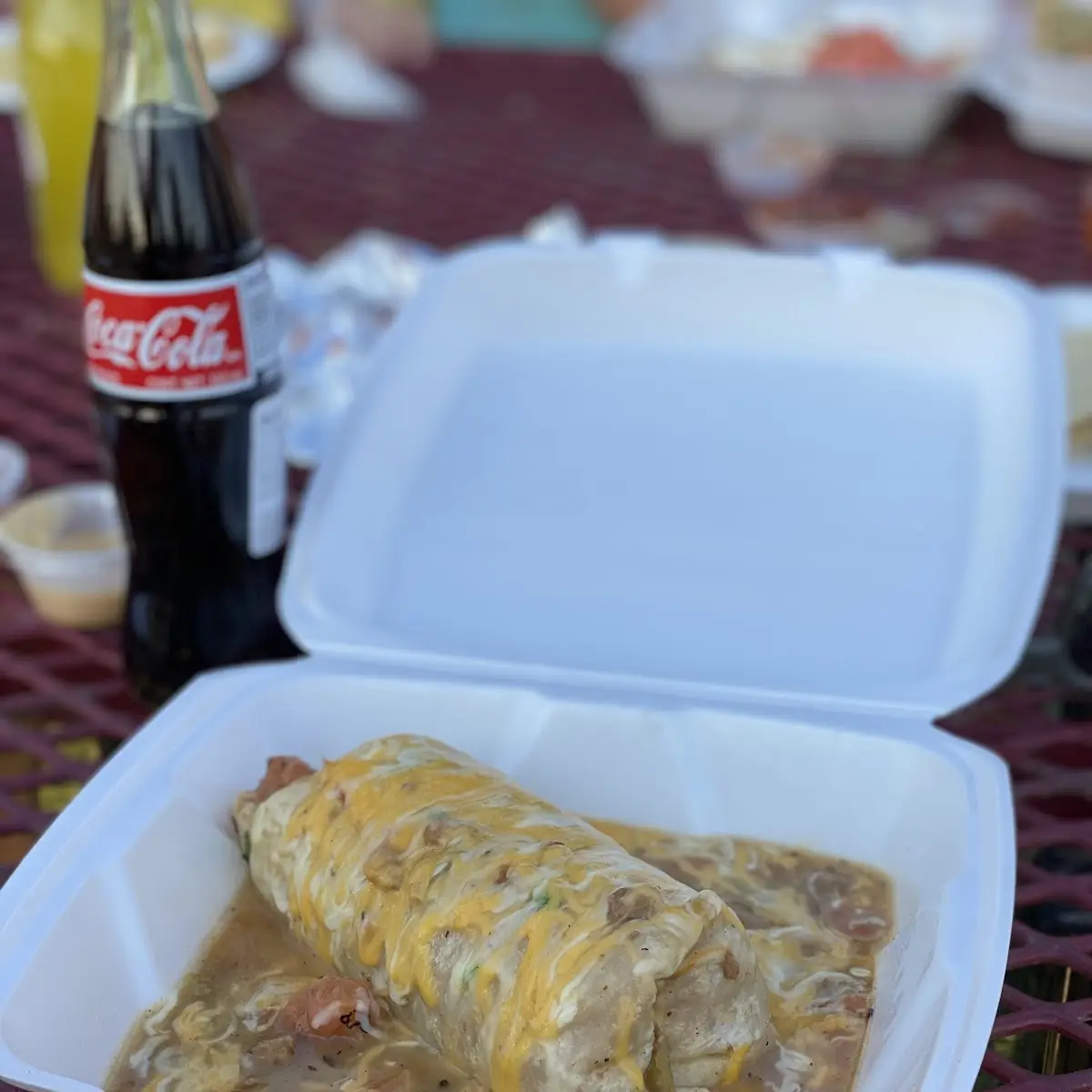 Chicken Burrito Deluxe