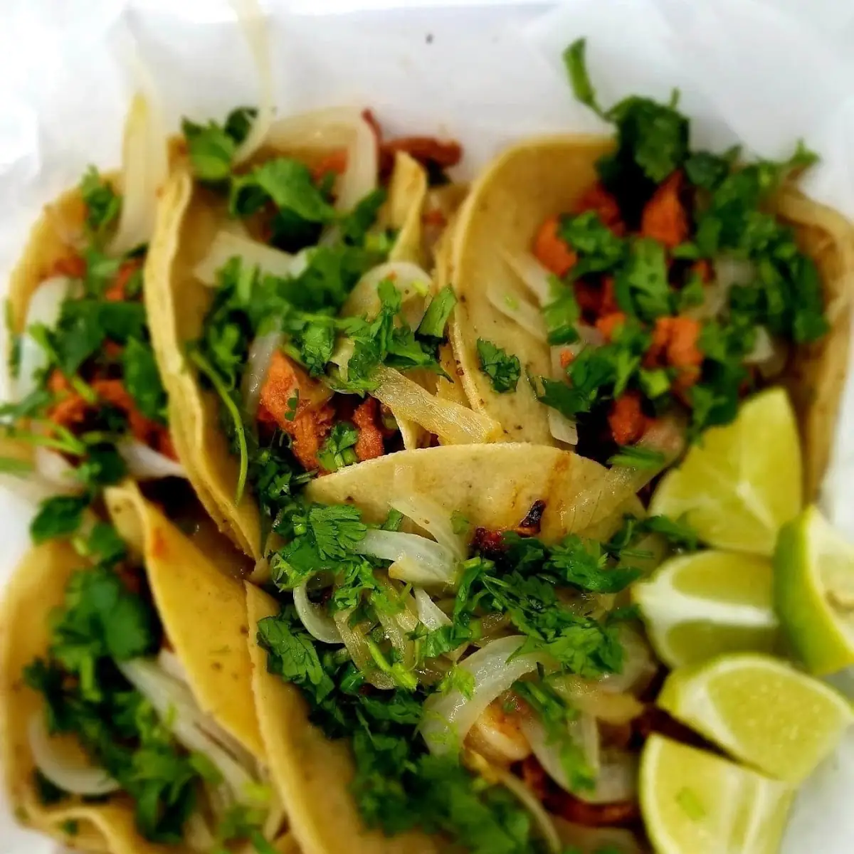 Barbacoa Taco Plate