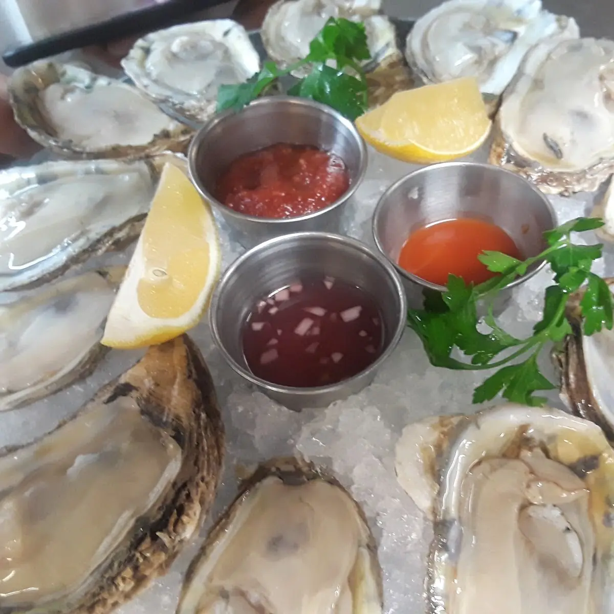 Oysters on the Half Shell
