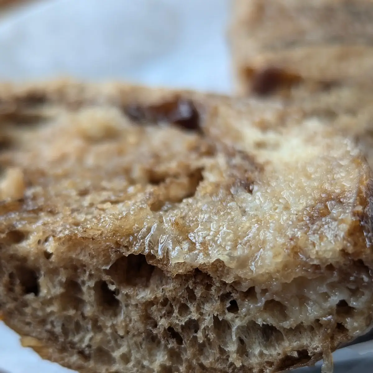 Cinnamon Raisin Bagel