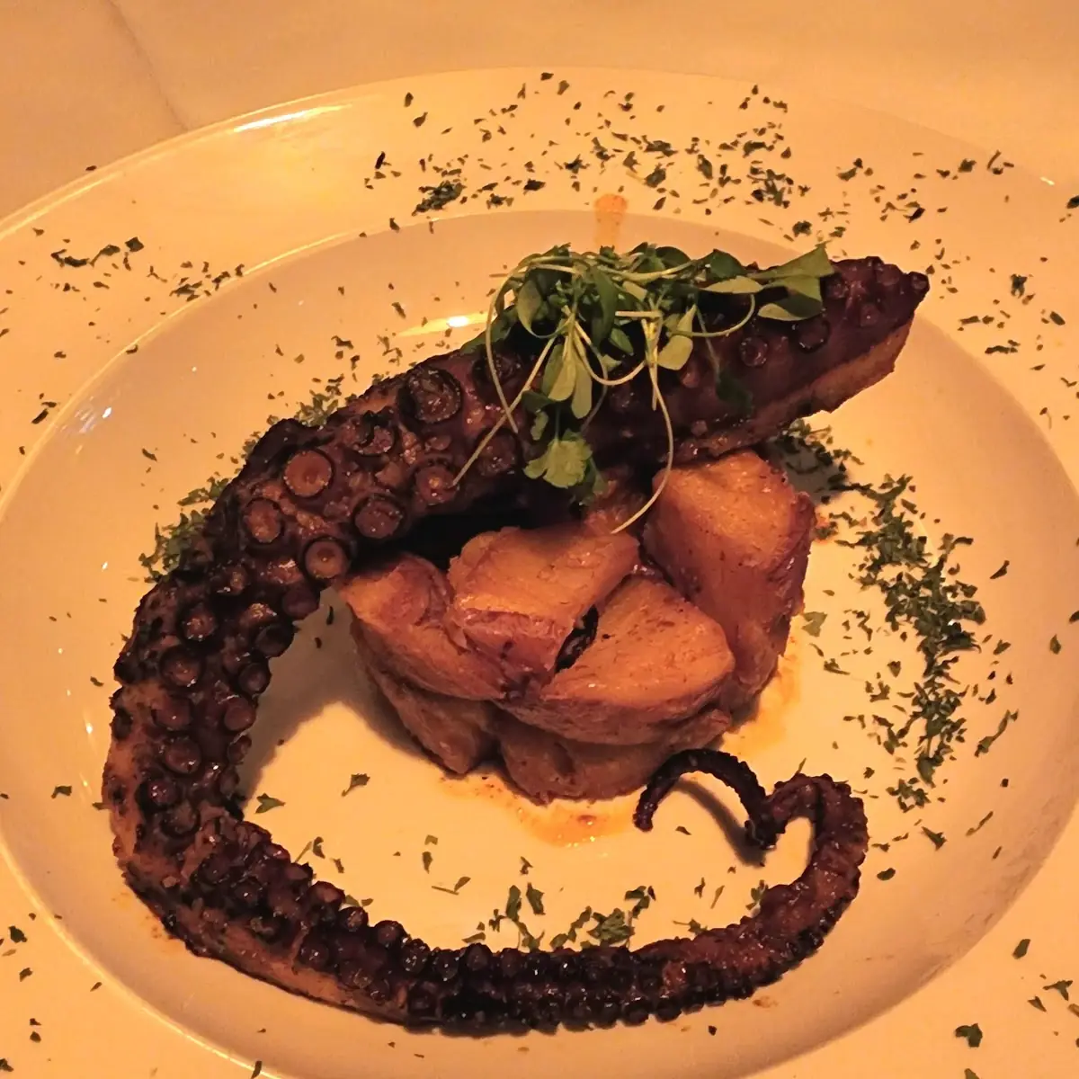 Grilled Octopus