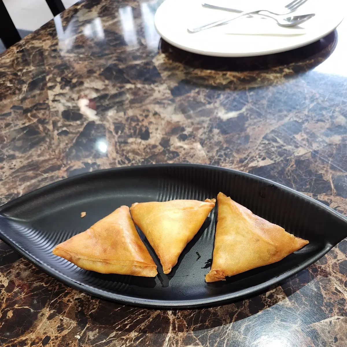 Chicken Samosa