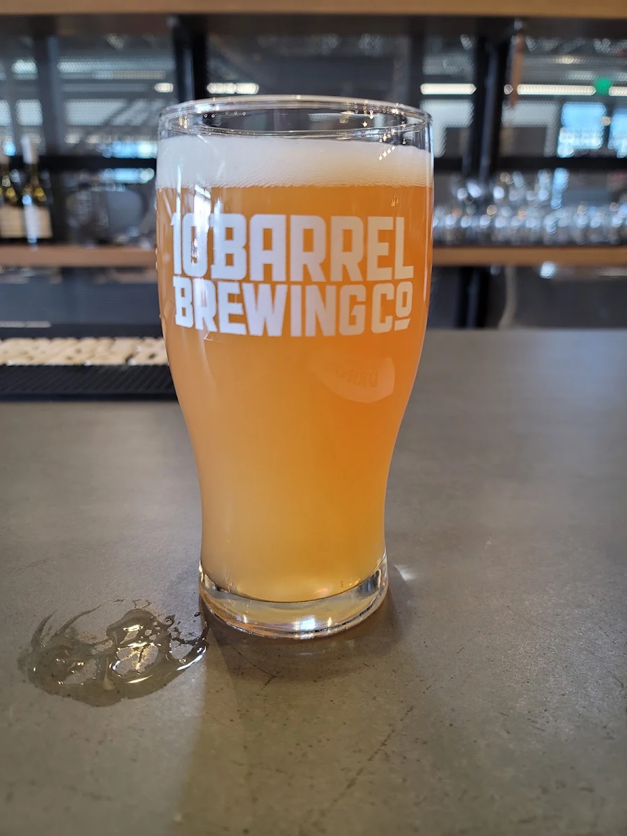 Tasting Flight of 10 Beers