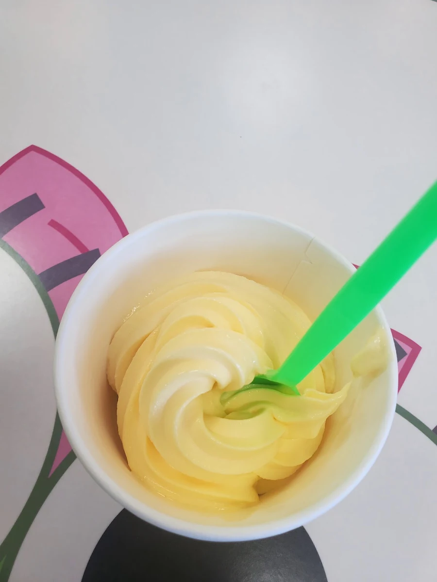 Mango Yogurt Ice Cream Non Dairy