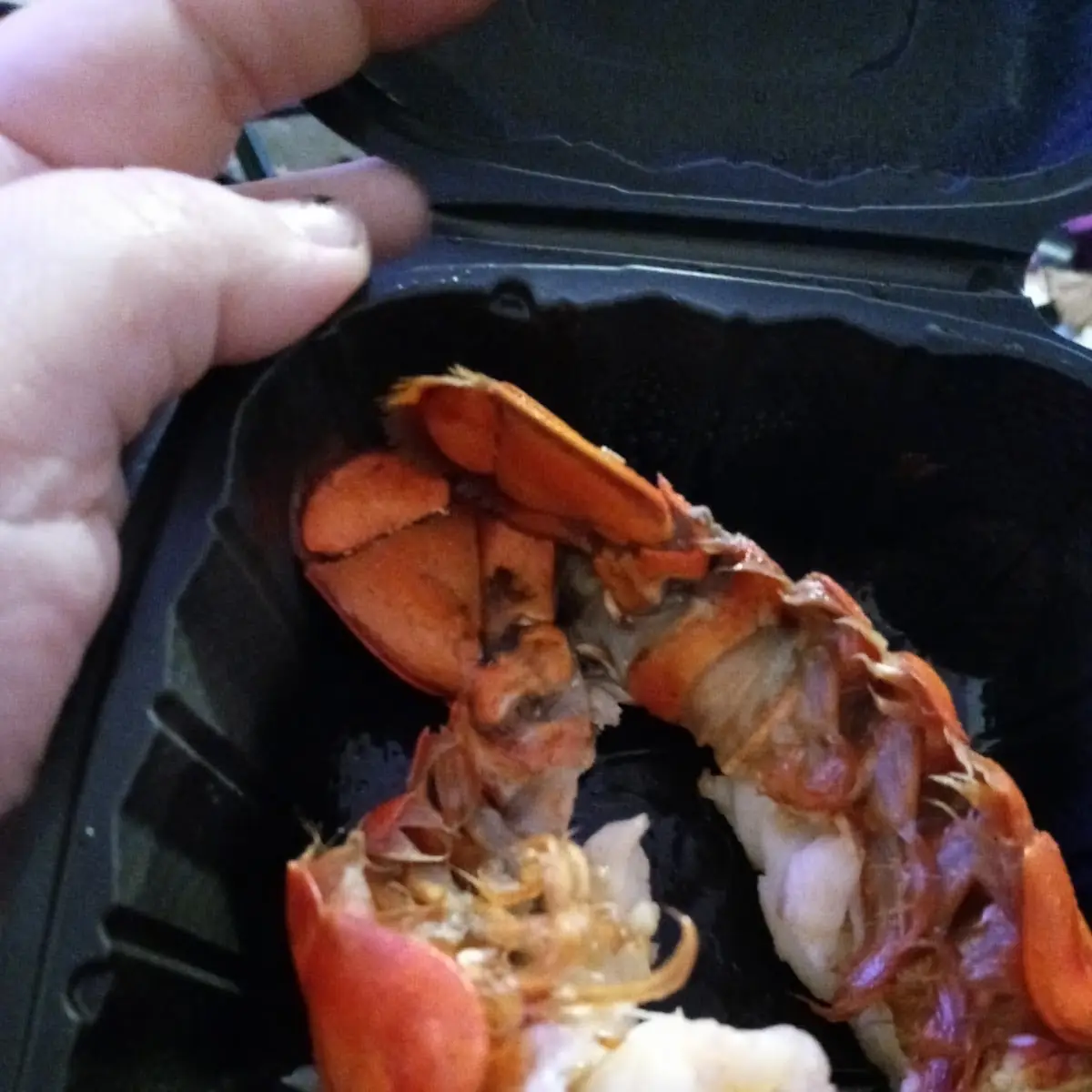 Lobster Tail