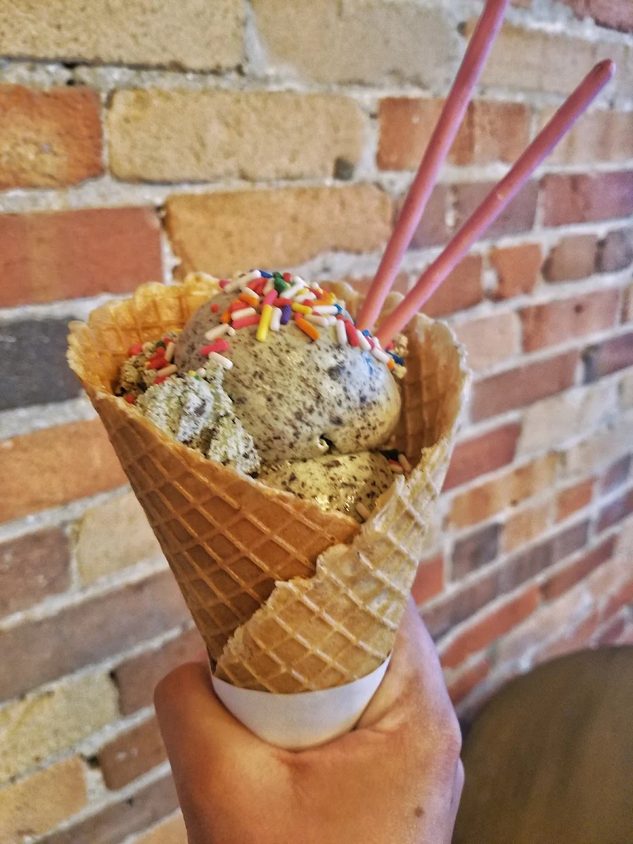 Mint Chocolate Chip Ice Cream