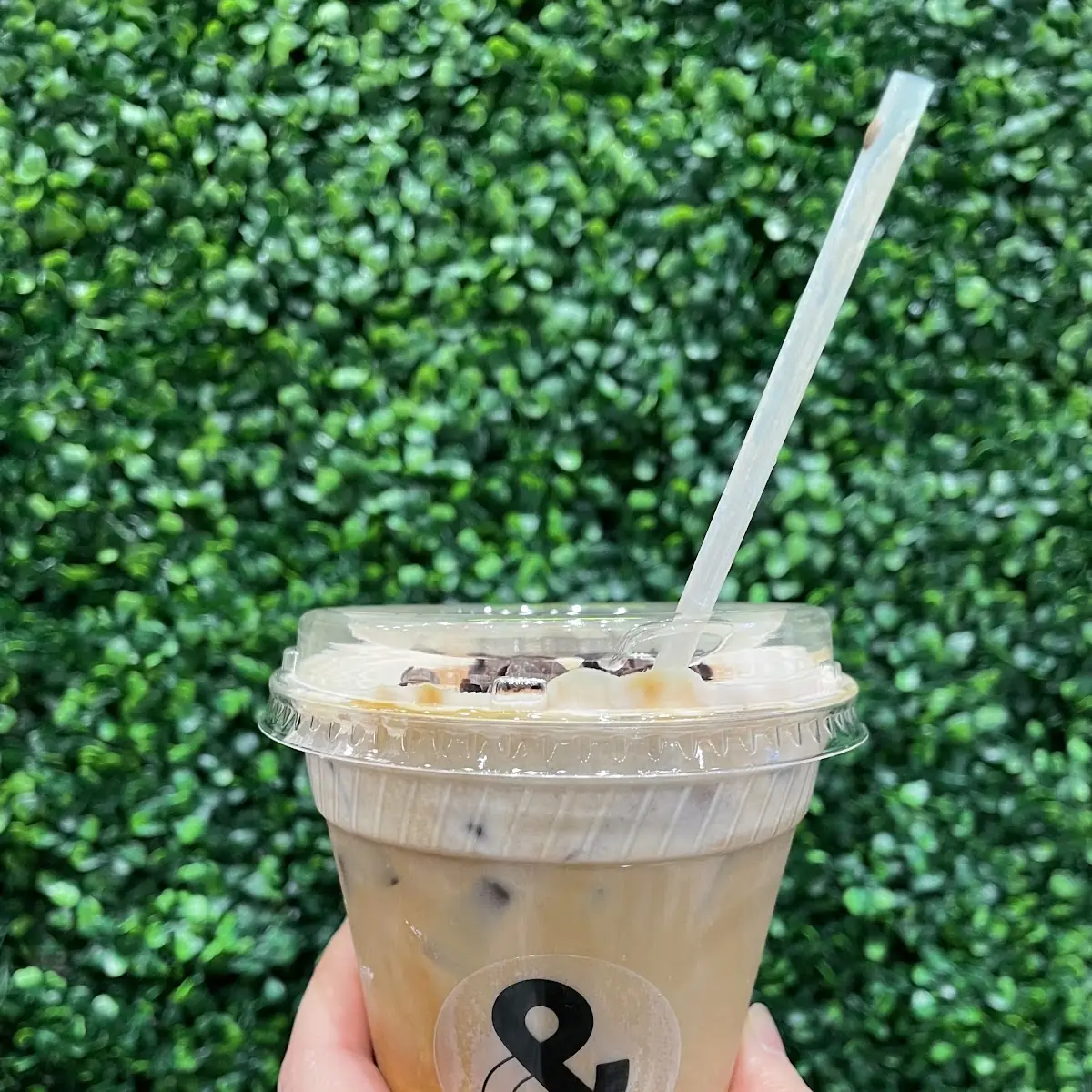 Milk Tea
