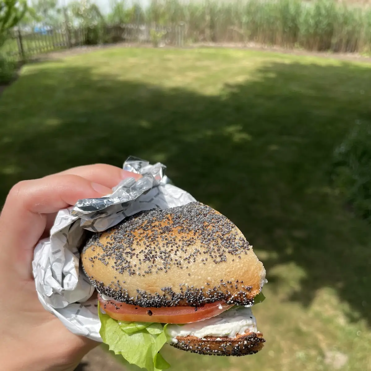 Poppyseed Bagel