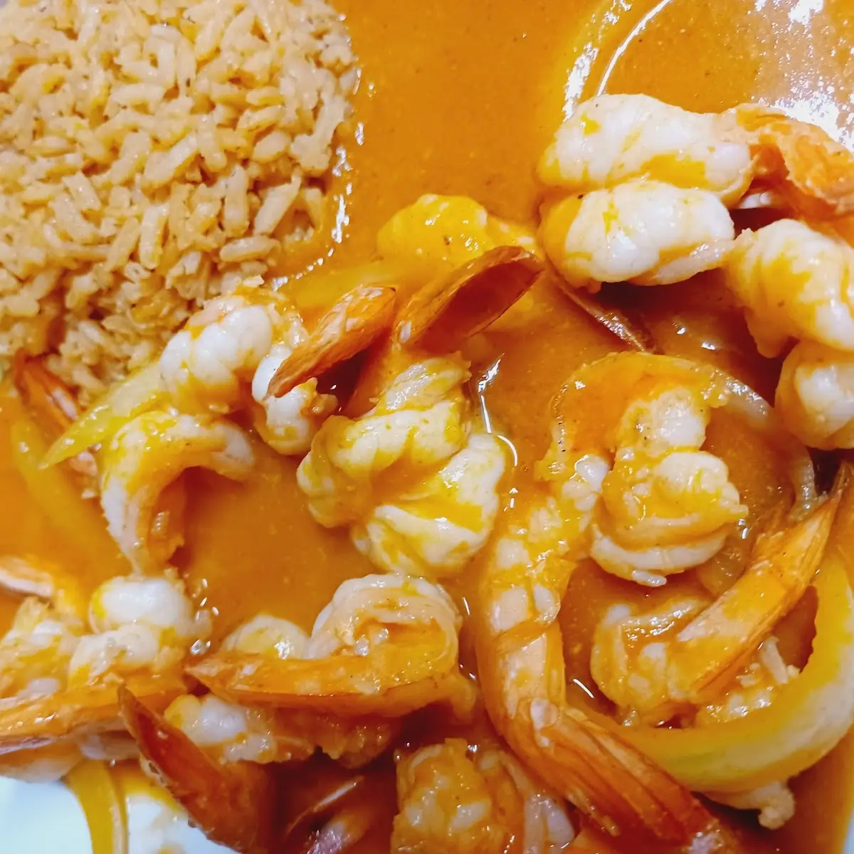 Camaron Shrimp