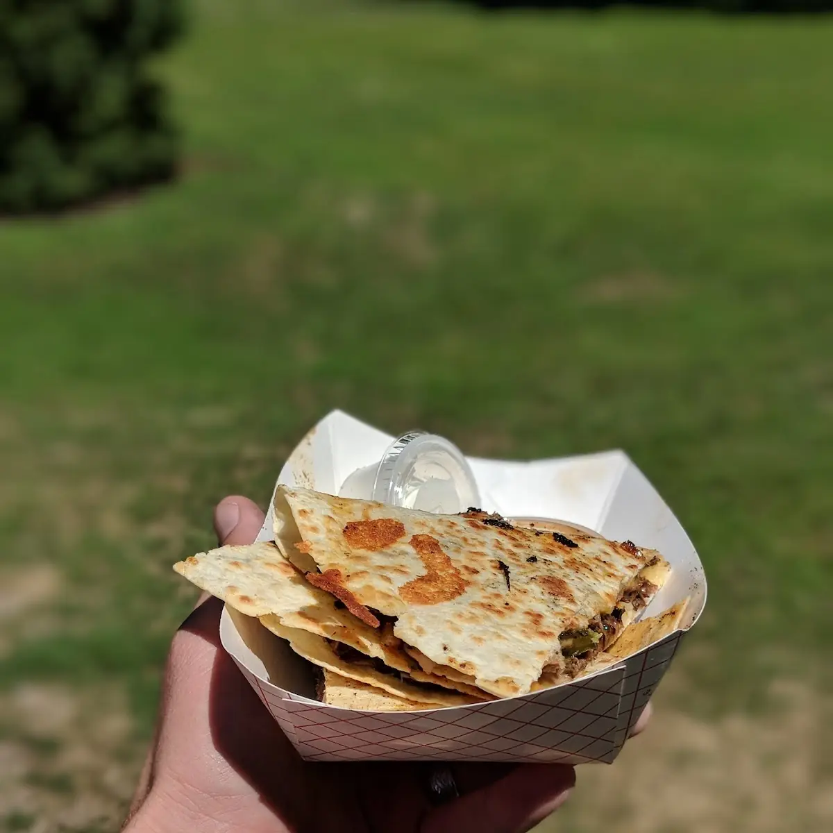 Carne Con Chipotle Quesadilla