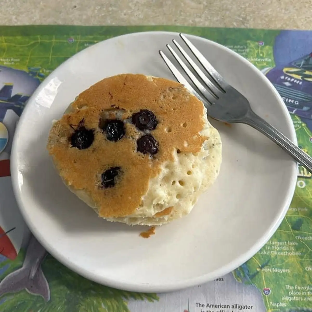 Blueberry Pancakes