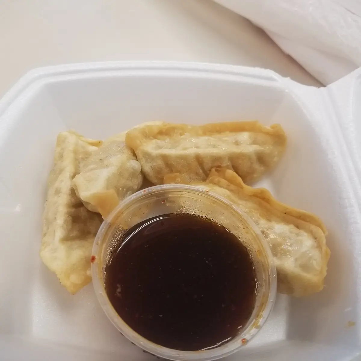 Fried Chicken Dumpling 6 PC