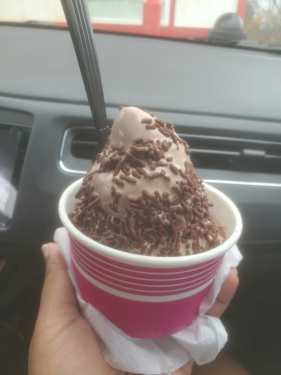 Chocolate Ice Cream Chocolate Sprinkles