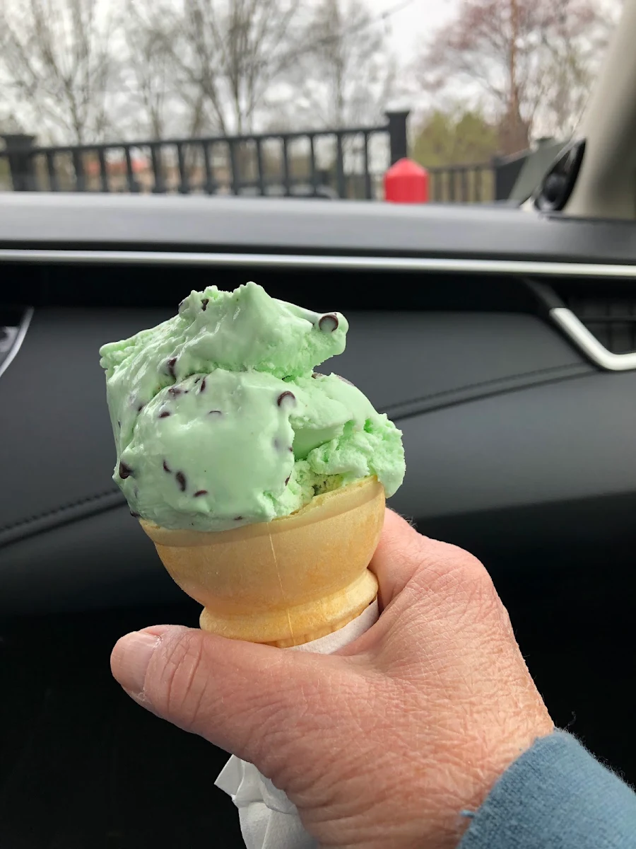 Mint Chocolate Chip