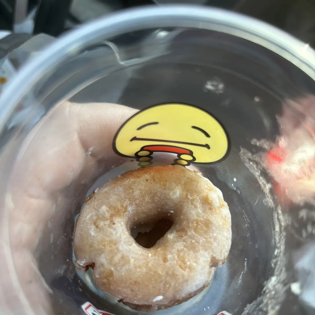 Doughnut