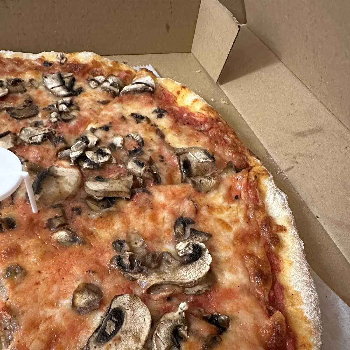 Mushroom Pizza - Large 18''